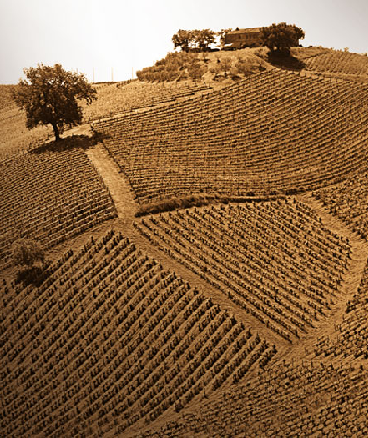 POGGIOLUPO - Allerona (TR) UMBRIA